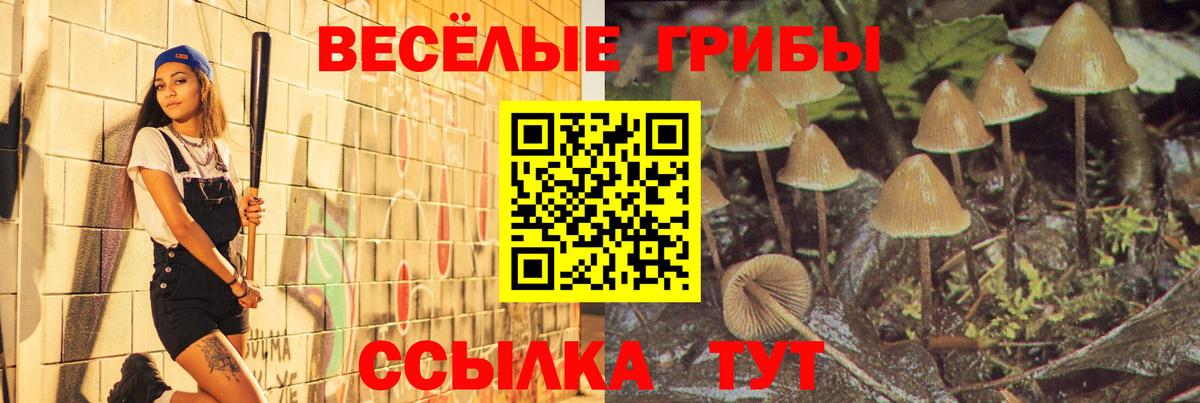 Псилоцибиновые грибы Cubensis  цена наркотик  Тула  Вход с VPN 